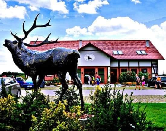 Pensjonat I Restauracja Hubertowka ミリチ エクステリア 写真
